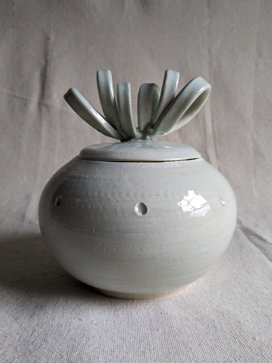 Aqua Celadon 6" Sculptural Ribbon-Lidded Jar (in-person pickup only)